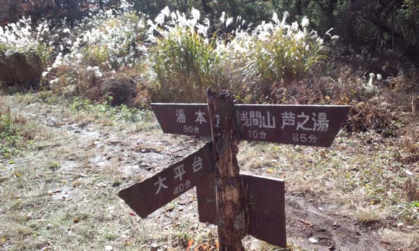 大平台分岐道標
